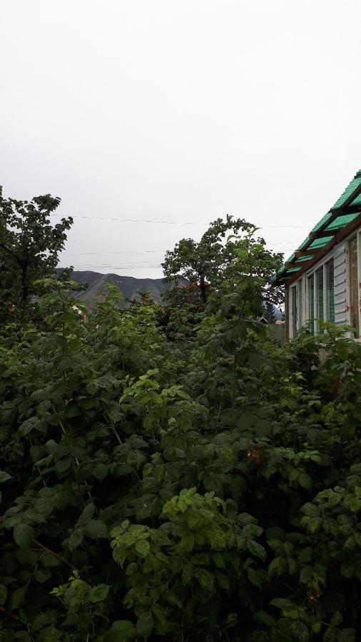 Hotel Nurgul Bokonbayevo Esterno foto